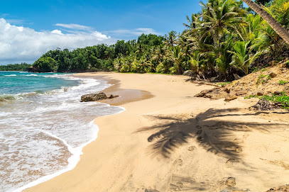 Javid’s Adventure Tours