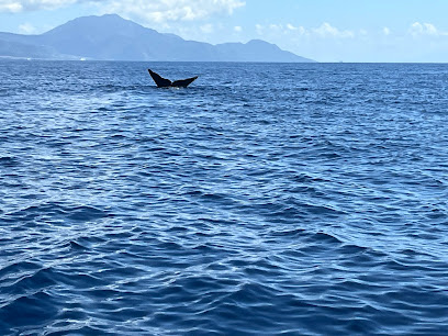 Map of 3 Victoria St, Roseau, Dominica